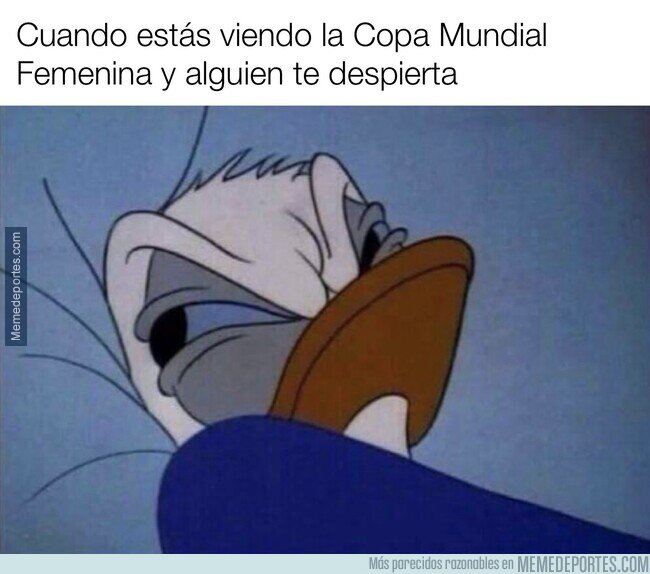 1193722 - Es como ver a niños de escuela jugando