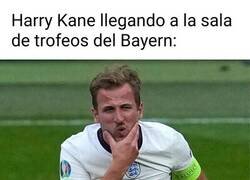 Enlace a Nunca habrá visto tantos títulos de cerca