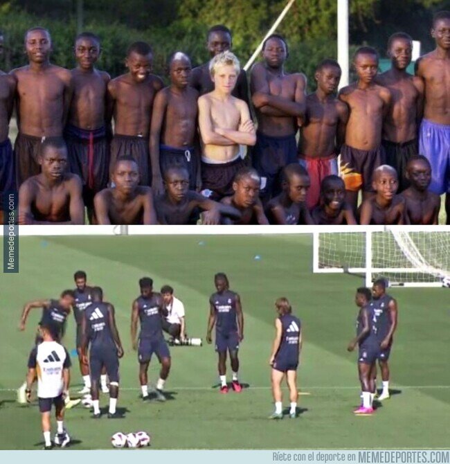 1193824 - El meme se hizo realidad