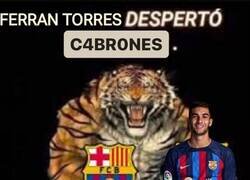 Enlace a Despertó Ferrán y Lewa va al banquillo