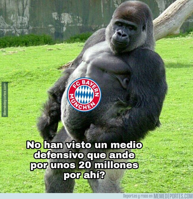 1194476 - La situacion actual del Bayern