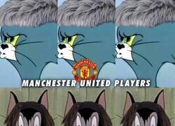 Enlace a Todos iguales