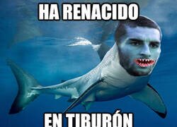 Enlace a Ferran ha vuelto desatado