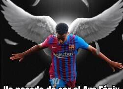 Enlace a También tiene alas, pero no es lo mismo