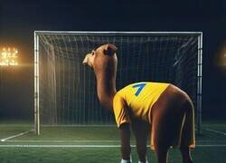 Enlace a Adivina el jugador