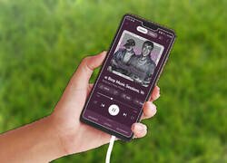 Enlace a Sus oídos no lo soportaron