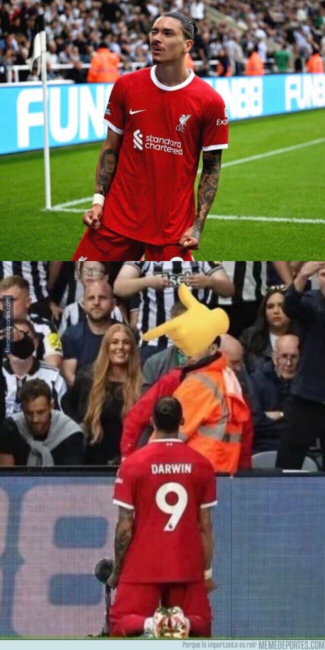 1195566 - Darwin es un pillín
