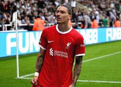 Enlace a Darwin es un pillín