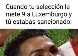 Enlace a Con lo que le gustan al Bicho estos partidos...