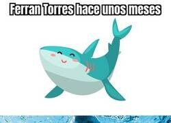 Enlace a El nuevo Ferran