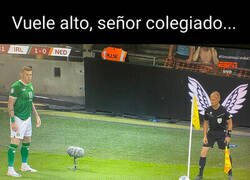 Enlace a Si los árbitros tuvieran alas