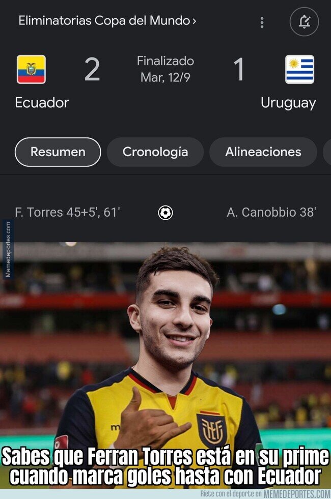 1195816 - El Tiburón nunca descansa