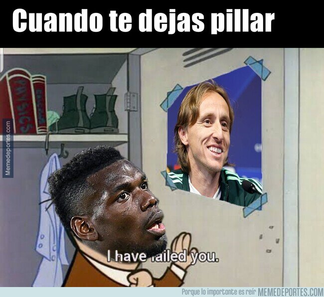 1195972 - Paul querido, con batidos se camufla mejor