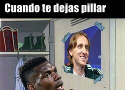 Enlace a Paul querido, con batidos se camufla mejor