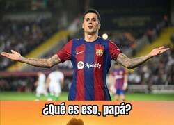 Enlace a Hacía años que no veían uno de cerca