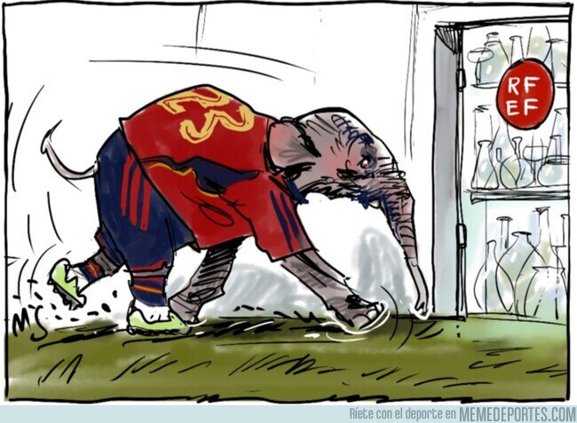 1196062 - Como un elefante en una cacharrería