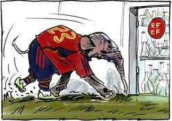 Enlace a Como un elefante en una cacharrería