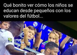 Enlace a Precioso