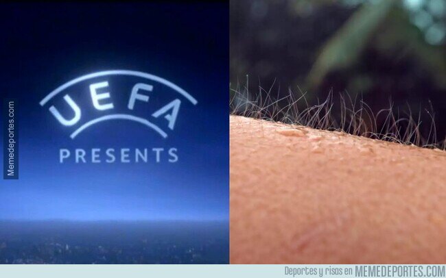 1196143 - Ya está aquí