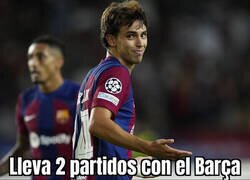 Enlace a Nadie le echará en falta