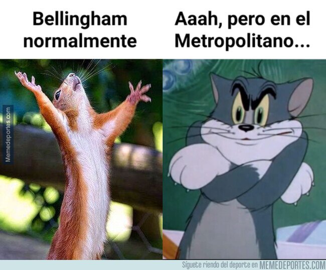 1196521 - El domingo no abrió los brazos