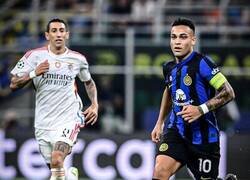 Enlace a Solo un par de campeones del mundo