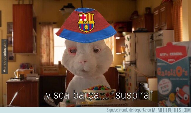 1197377 - Ser del Barça en 2023...