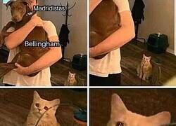 Enlace a El Madrid tiene una nueva estrella