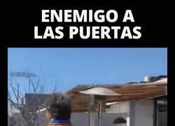 Enlace a El Francotirador