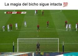 Enlace a La magia del bicho