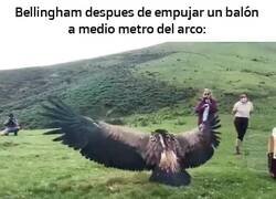 Enlace a El majestuoso Bellingham