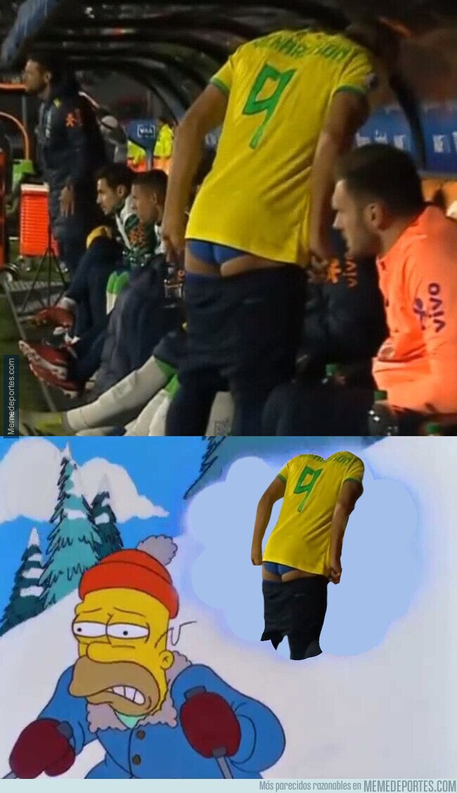 1198037 - Estúpido y sensual Richarlison