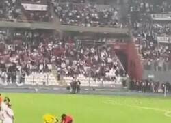 Enlace a Hay polémica en Perú. Gallese le quita el teléfono a un fanático invasor y lanza.