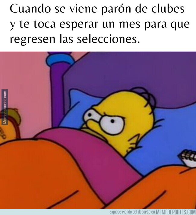 1198059 - Se viene parón de clubes