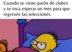 Enlace a Se viene parón de clubes