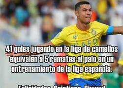 Enlace a El gran récord del Bicho