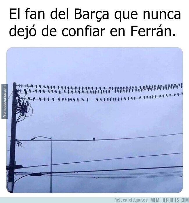 1198236 - De cachama a megalodón