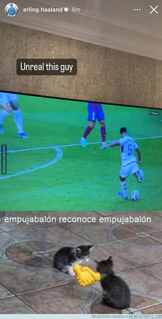 1198295 - Así se muestra el respeto