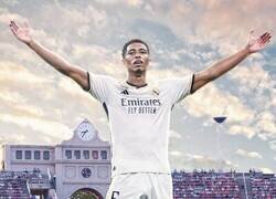 Enlace a El hombre del Vitruvio