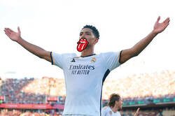 Enlace a The Bellin' Stone