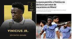 Enlace a Vinicius Luther King