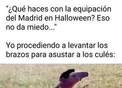 Enlace a Disfraz de Bellingham para Halloween