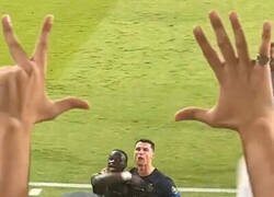 Enlace a Recordatorio para el Bicho