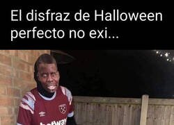 Enlace a Muy ingenioso