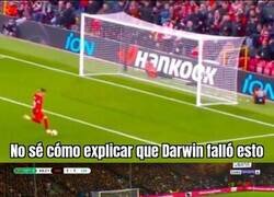 Enlace a Volvió el Darwin fallón