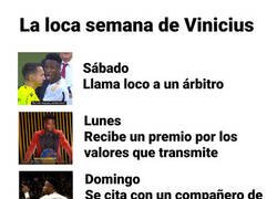 Enlace a La semana más surrealista de Vinicius