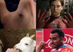 Enlace a ¿Qué está tramando Eric García?