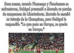 Enlace a El arte de contestar en el campo