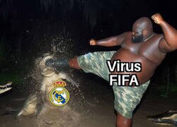 Enlace a El virus ataca bien fuerte