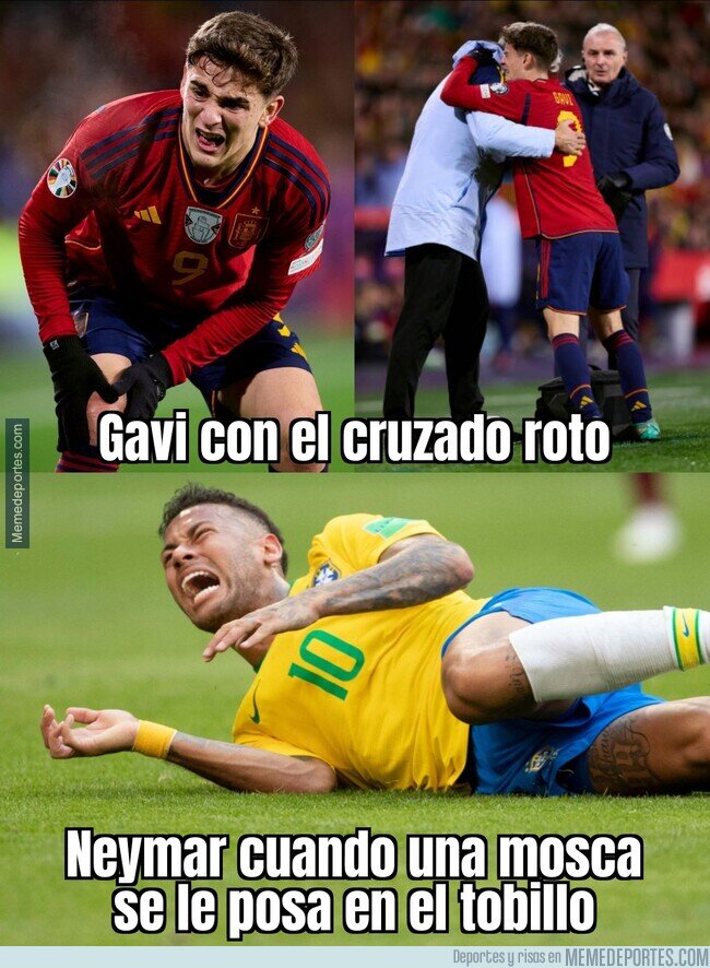 1199008 - Gavi ni se tiró al suelo
